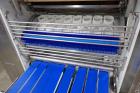 2005 Wp Gemini Tewimats Dough Divider